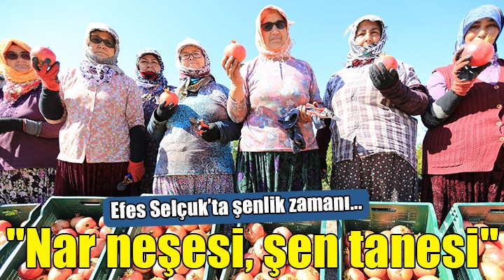 Zeytinköy'de ''Nar neşesi, şen tanesi'' şenliği...