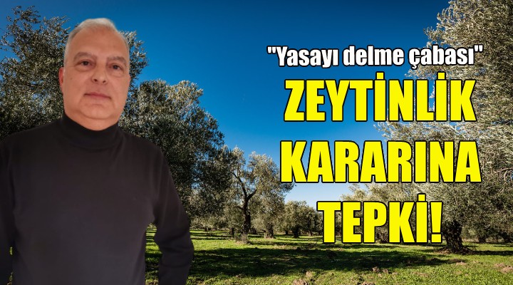 Ziraat Mühendisleri Odası: Zeytincilik Yasası'nı delme çabası, ÇED davalarını da uzatacak!