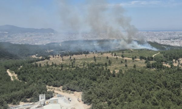 Buca'da orman yangını!
